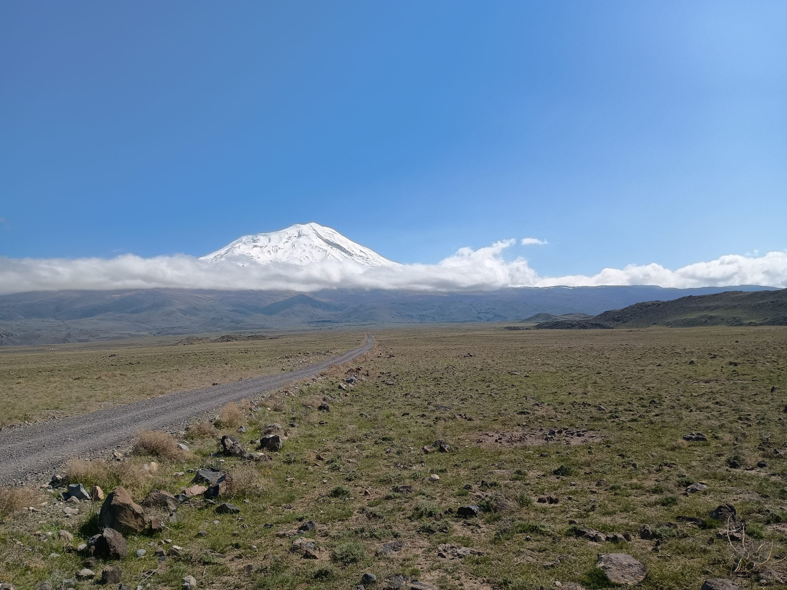 Ararat