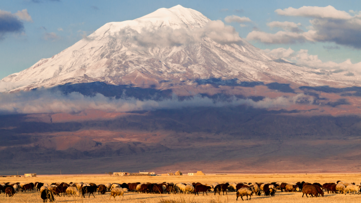 Ararat