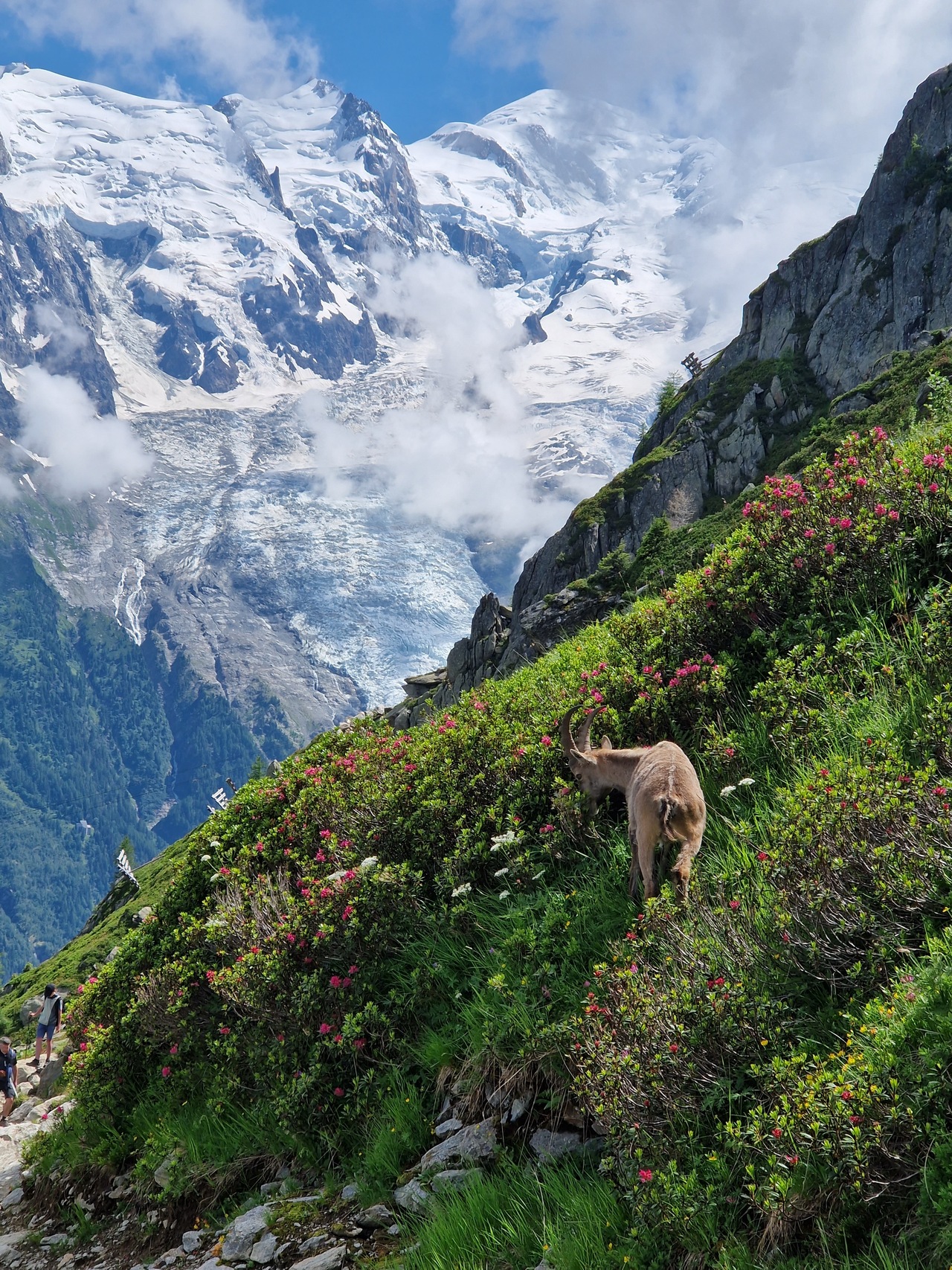 Francja: Najpiękniejsze miejsca w Dolinie Chamonix